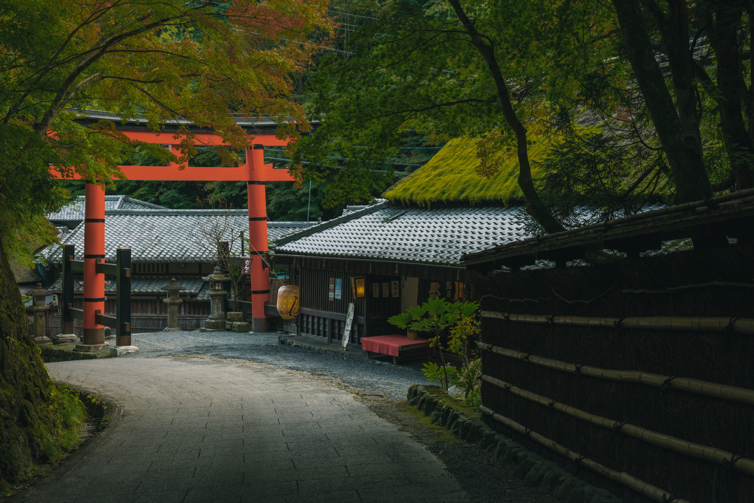絶景を巡るたびin京都　[1日目]のアイキャッチ画像