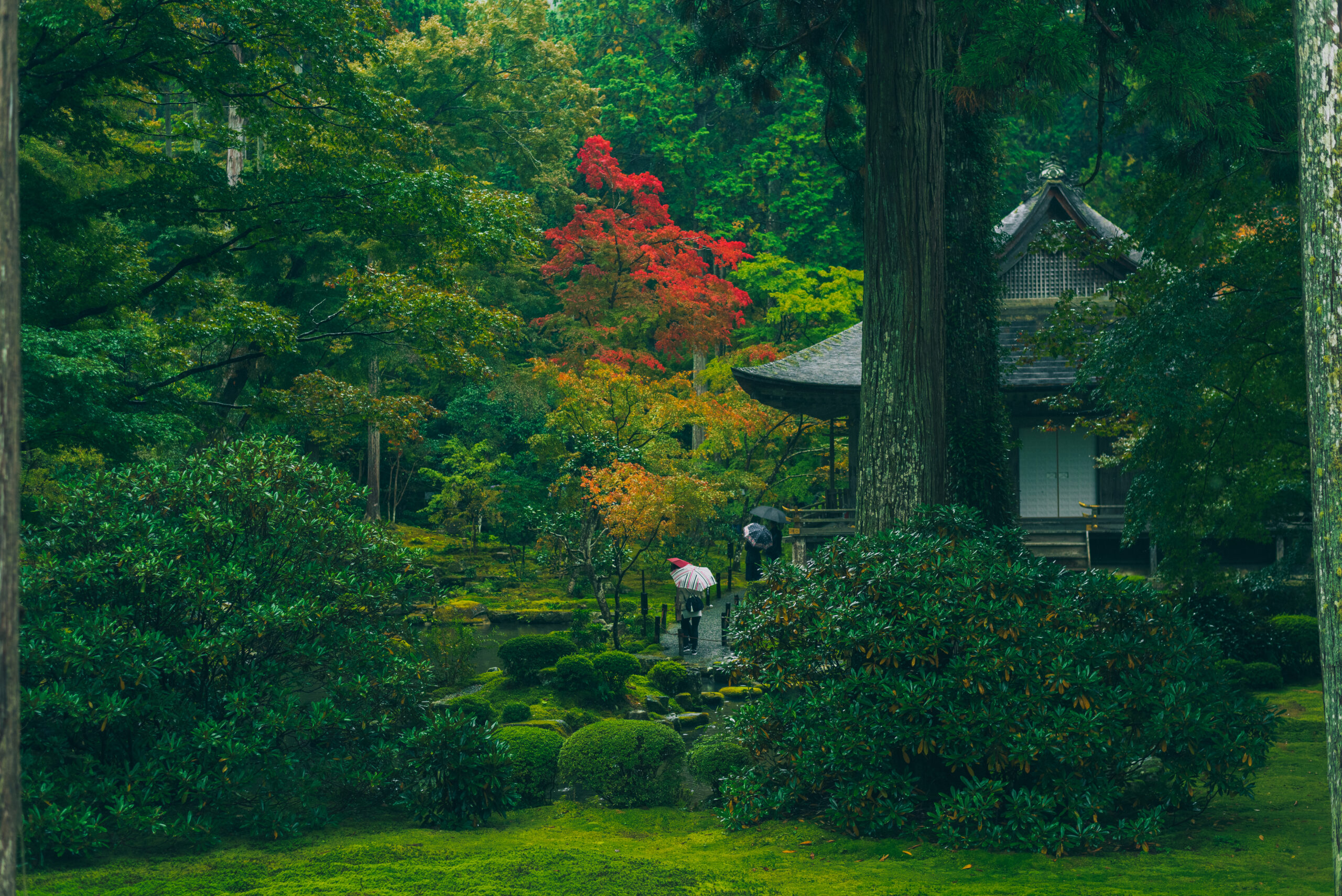 絶景を巡るたびin京都　[3日目]のアイキャッチ画像