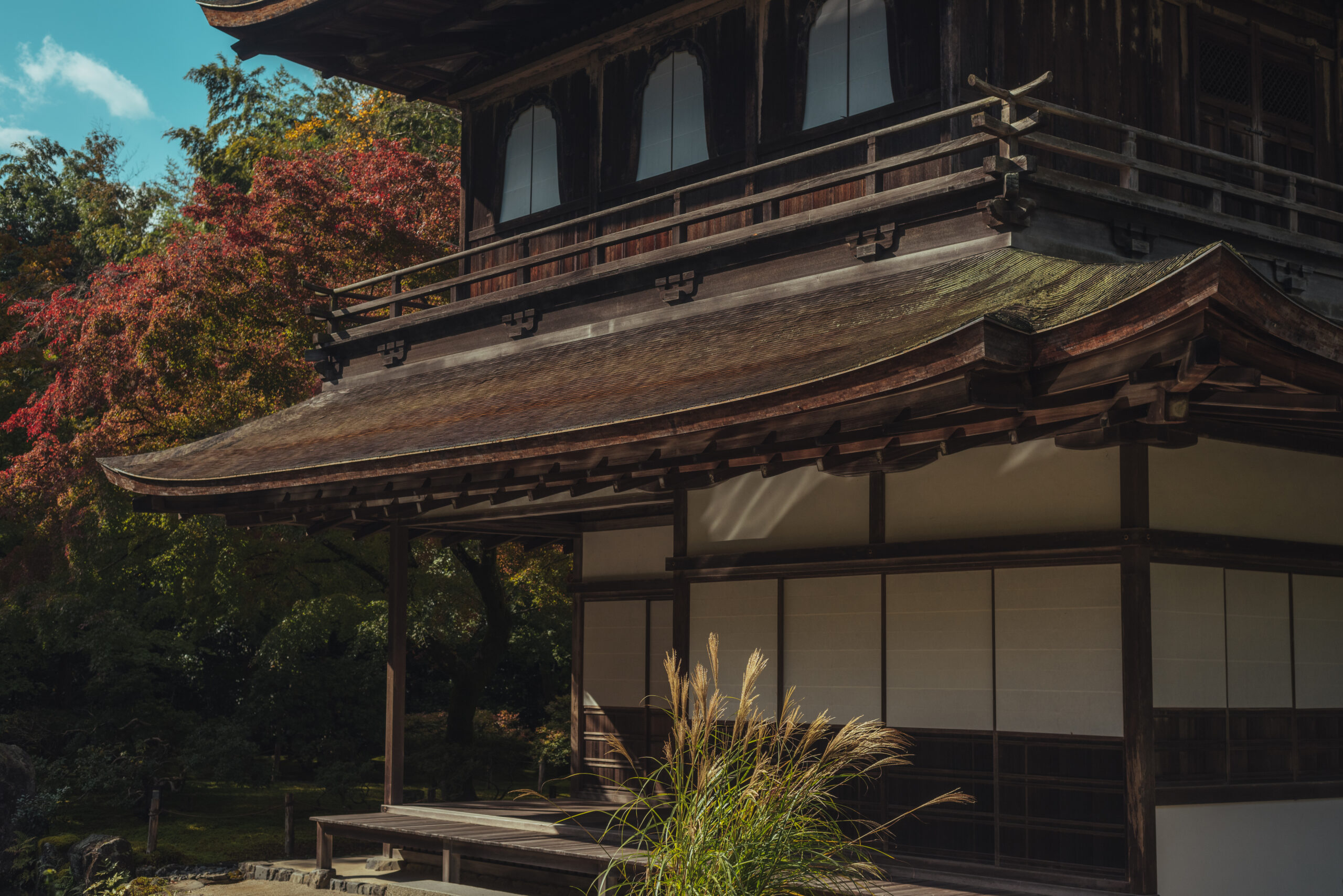 絶景を巡るたびin京都　[4日目]のアイキャッチ画像